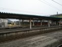 ねずみ男列車が見えてきた